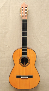 Konzertgitarre nach Robert Bouchet